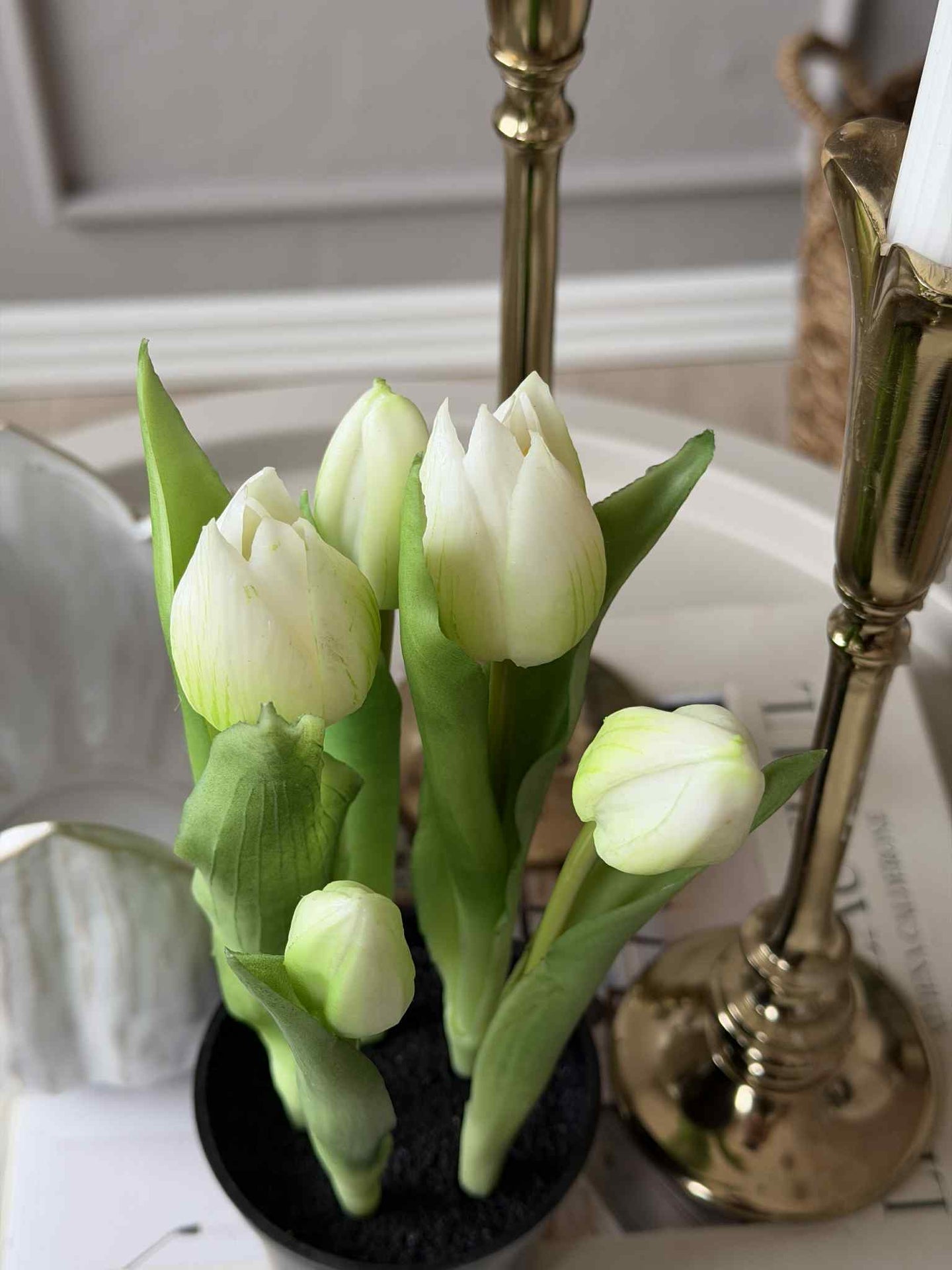 Tulipan i potte - Hvit