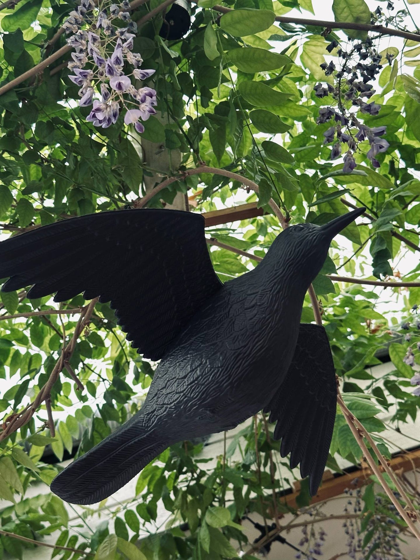 Fugl - RAVEN BLACK