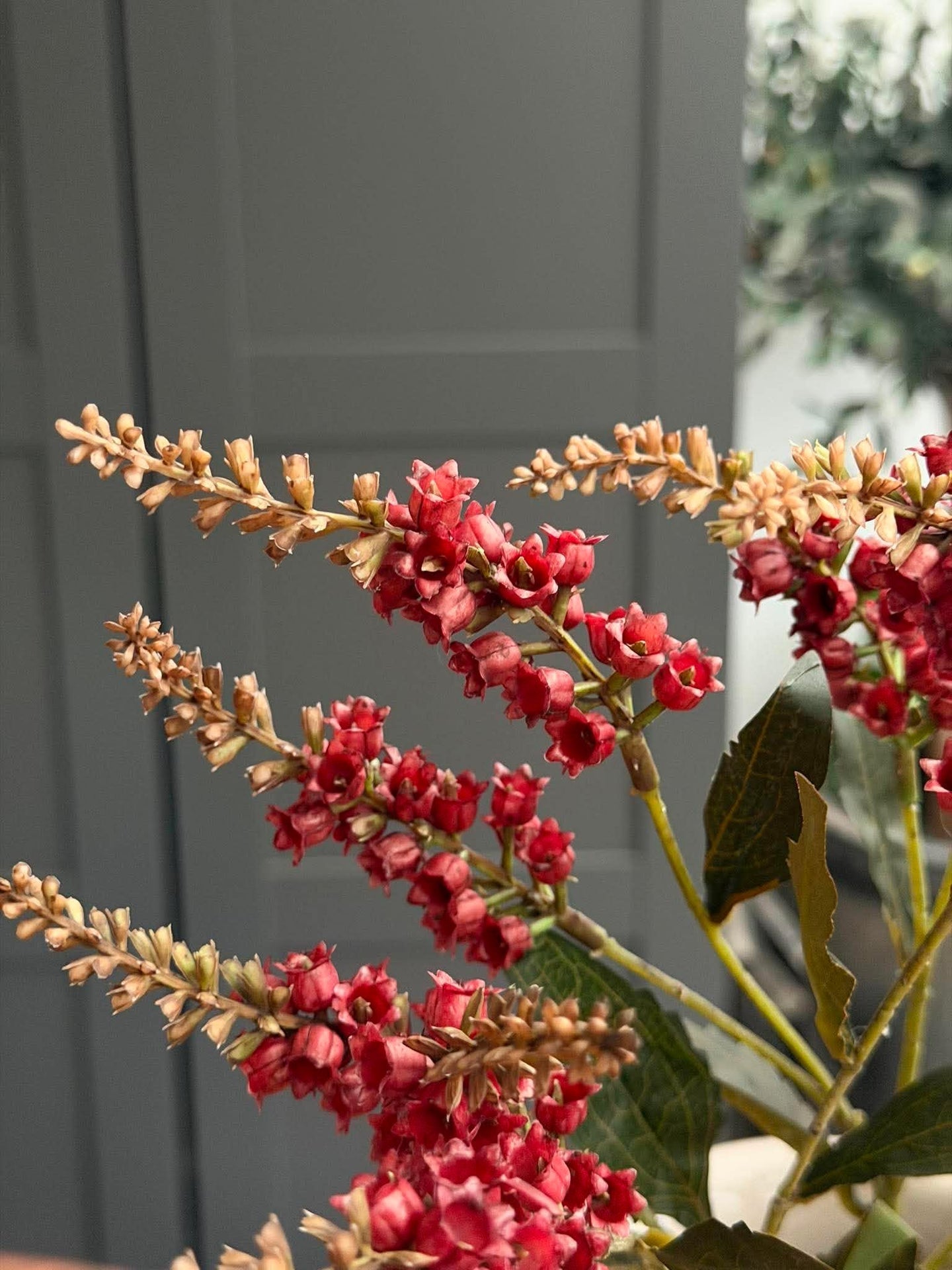Blomster stilk - Rød klokke