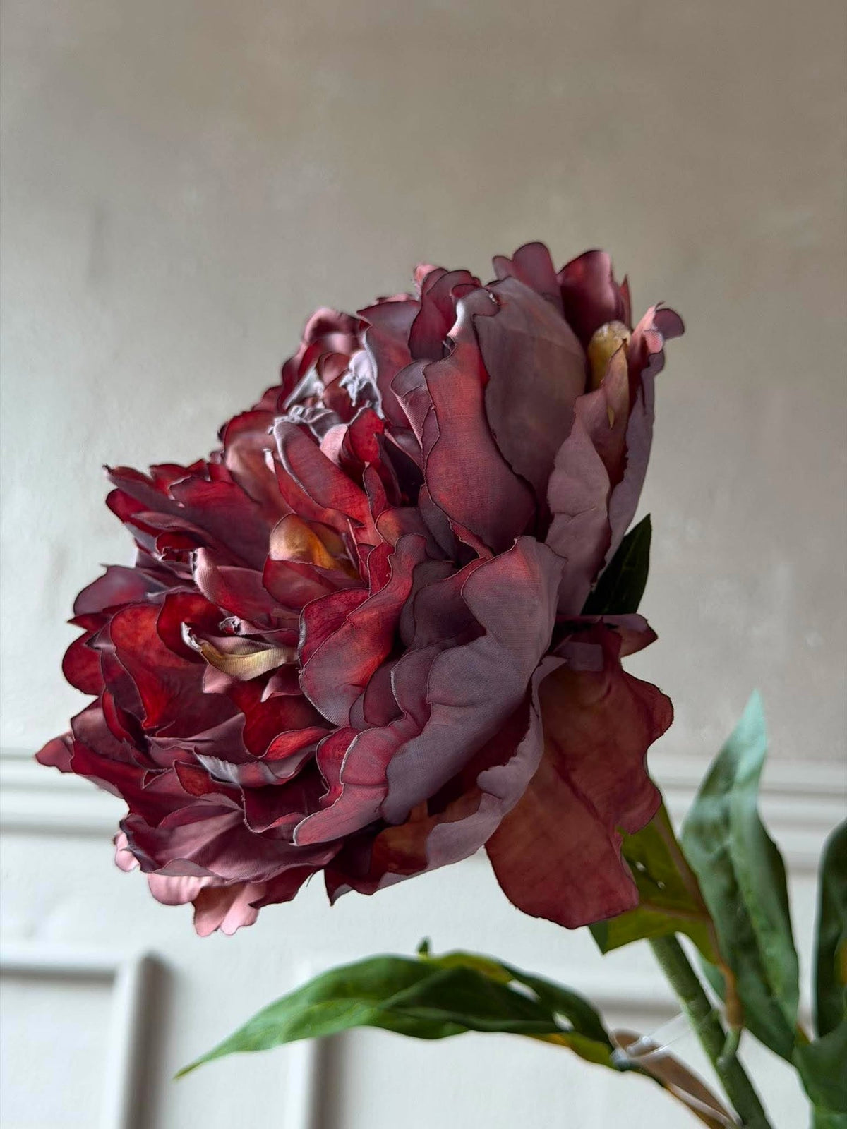 Pion 72 cm - Lilla