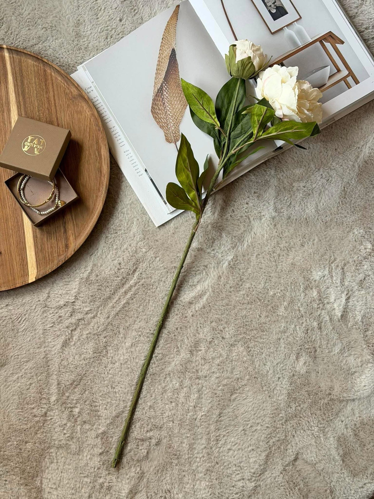 Pion 69 cm - krem