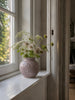 Vase med sløyfer - flere farger