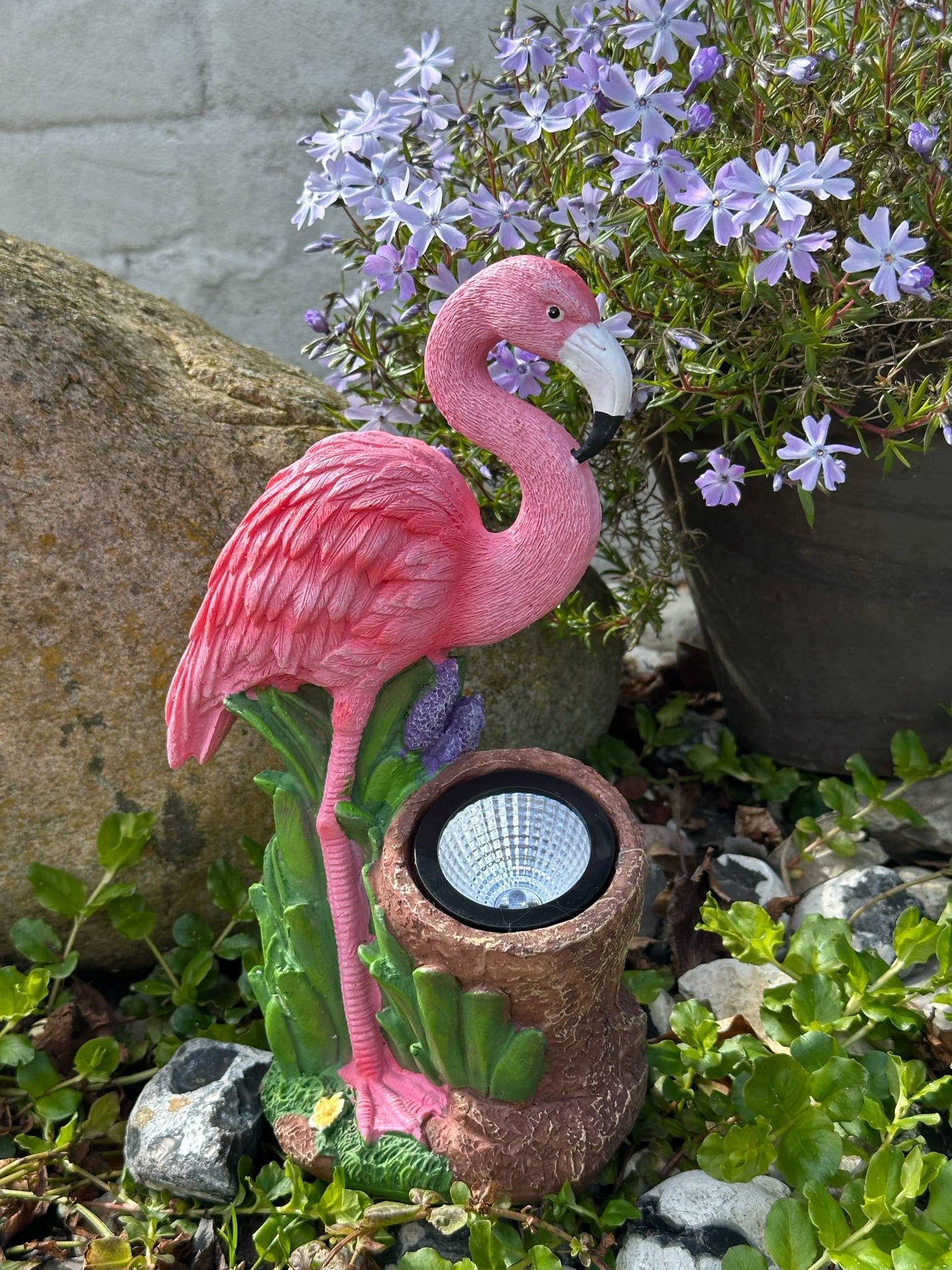 Flamingo med solar