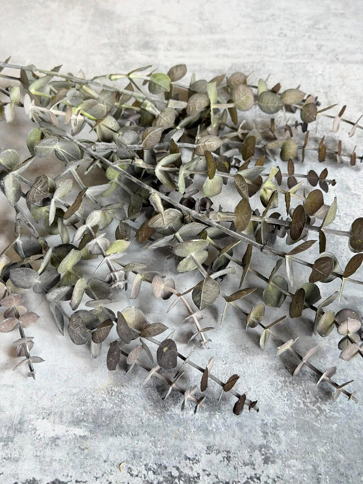 Cypressgren 82 cm - Grønn