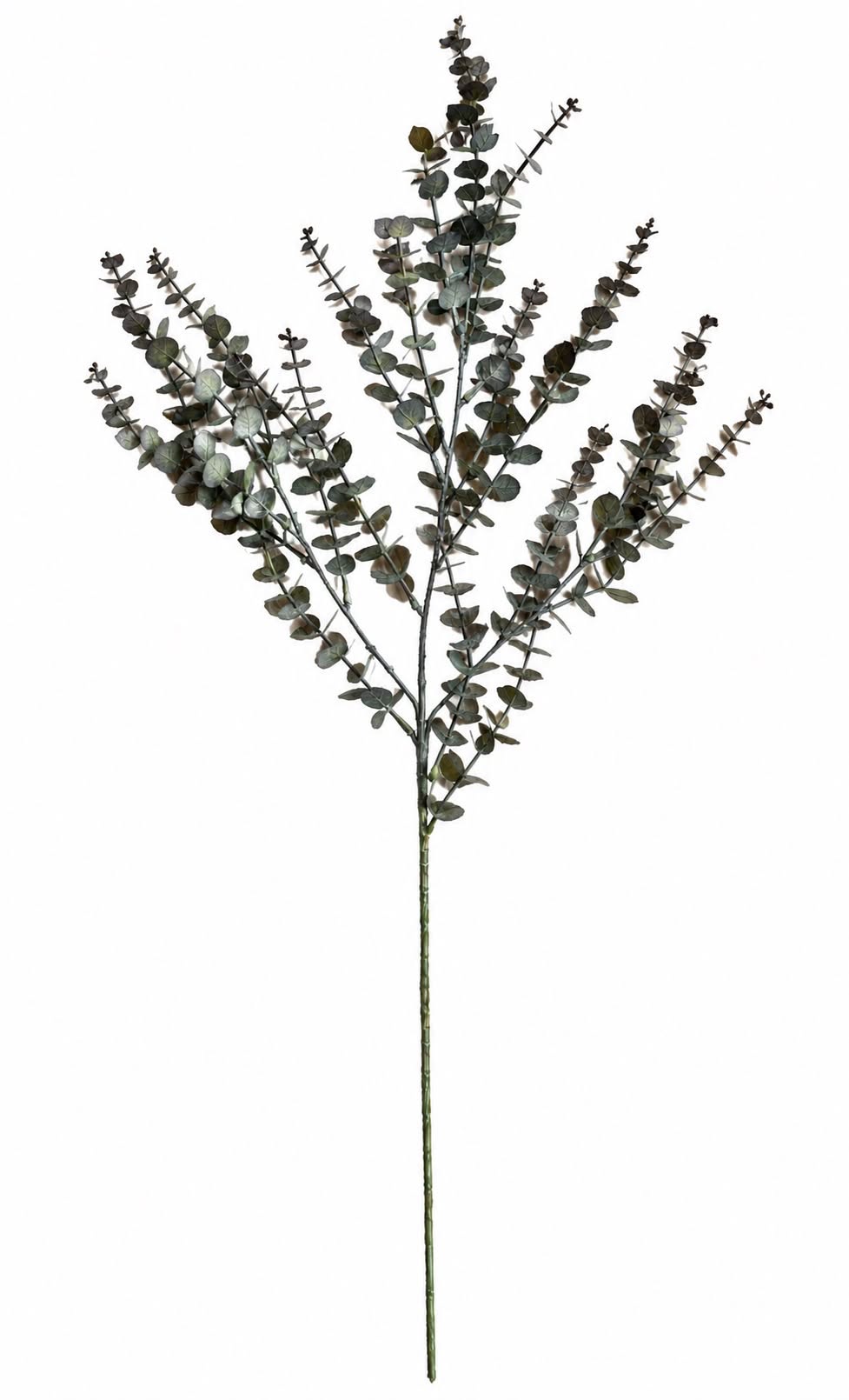 Cypressgren 82 cm - Grønn