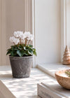 Potte i betong-look – Liten