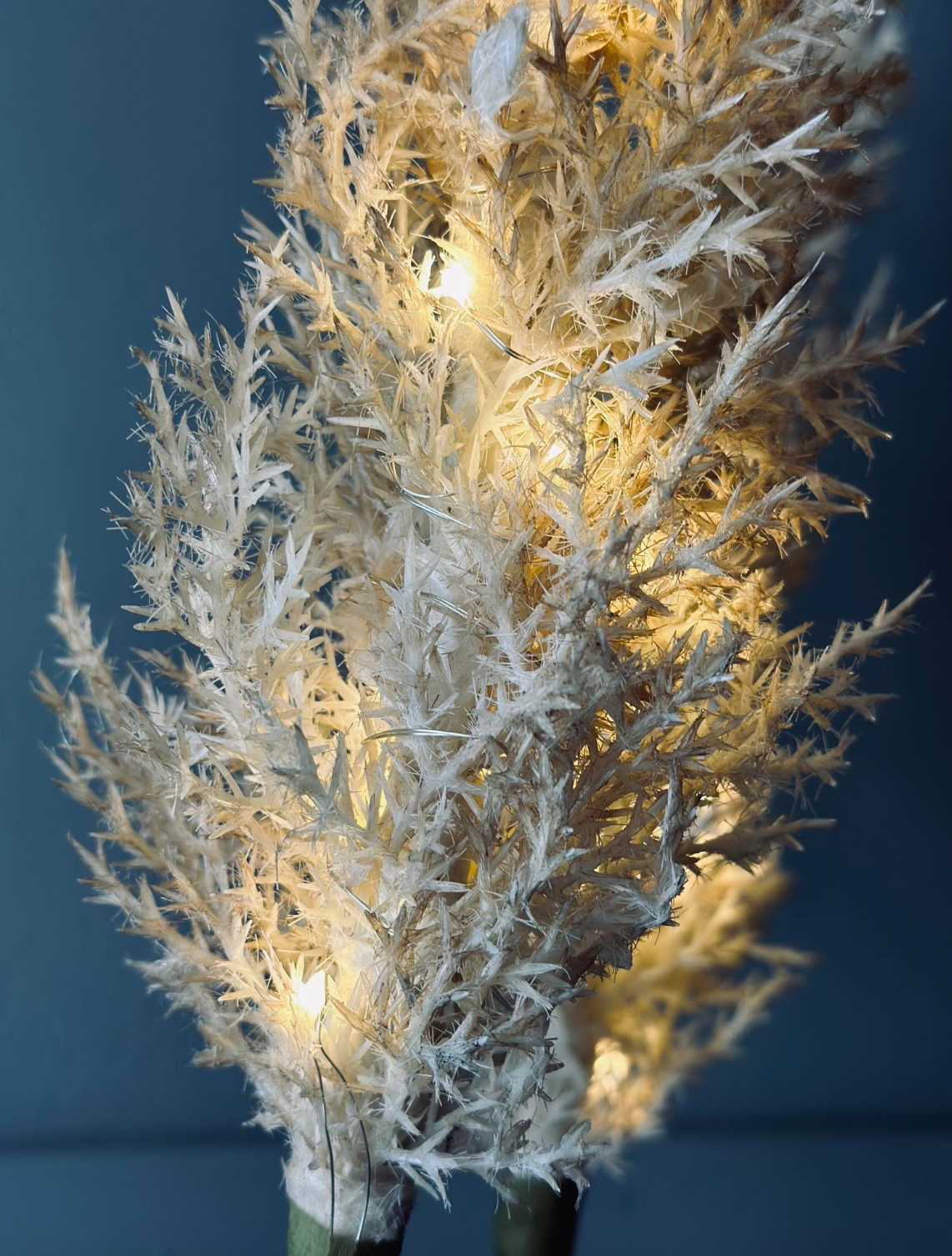 Pampas med LED-lys - 118 cm