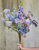 Blomst nellike
