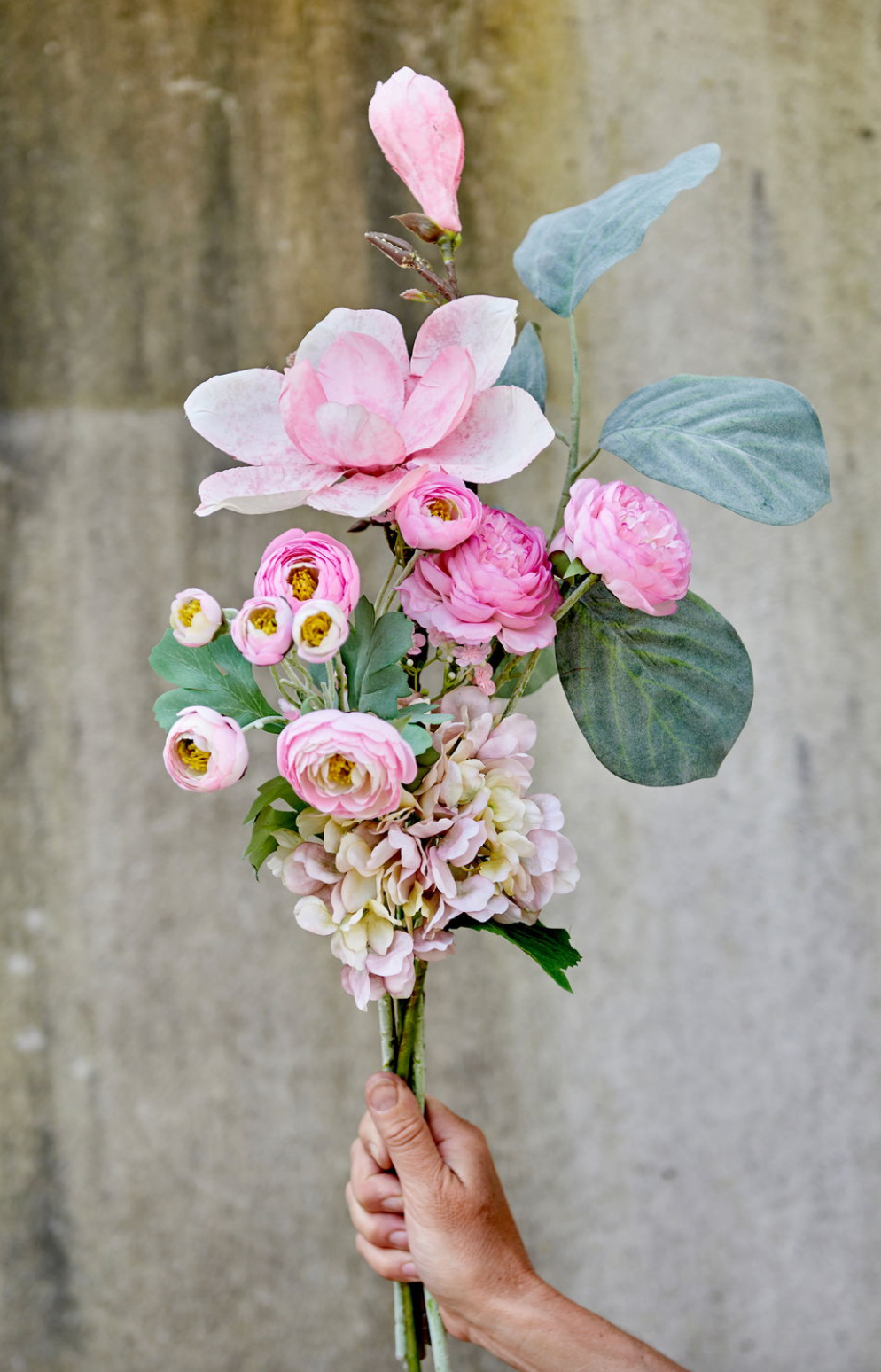 Blomst magnolia stilk