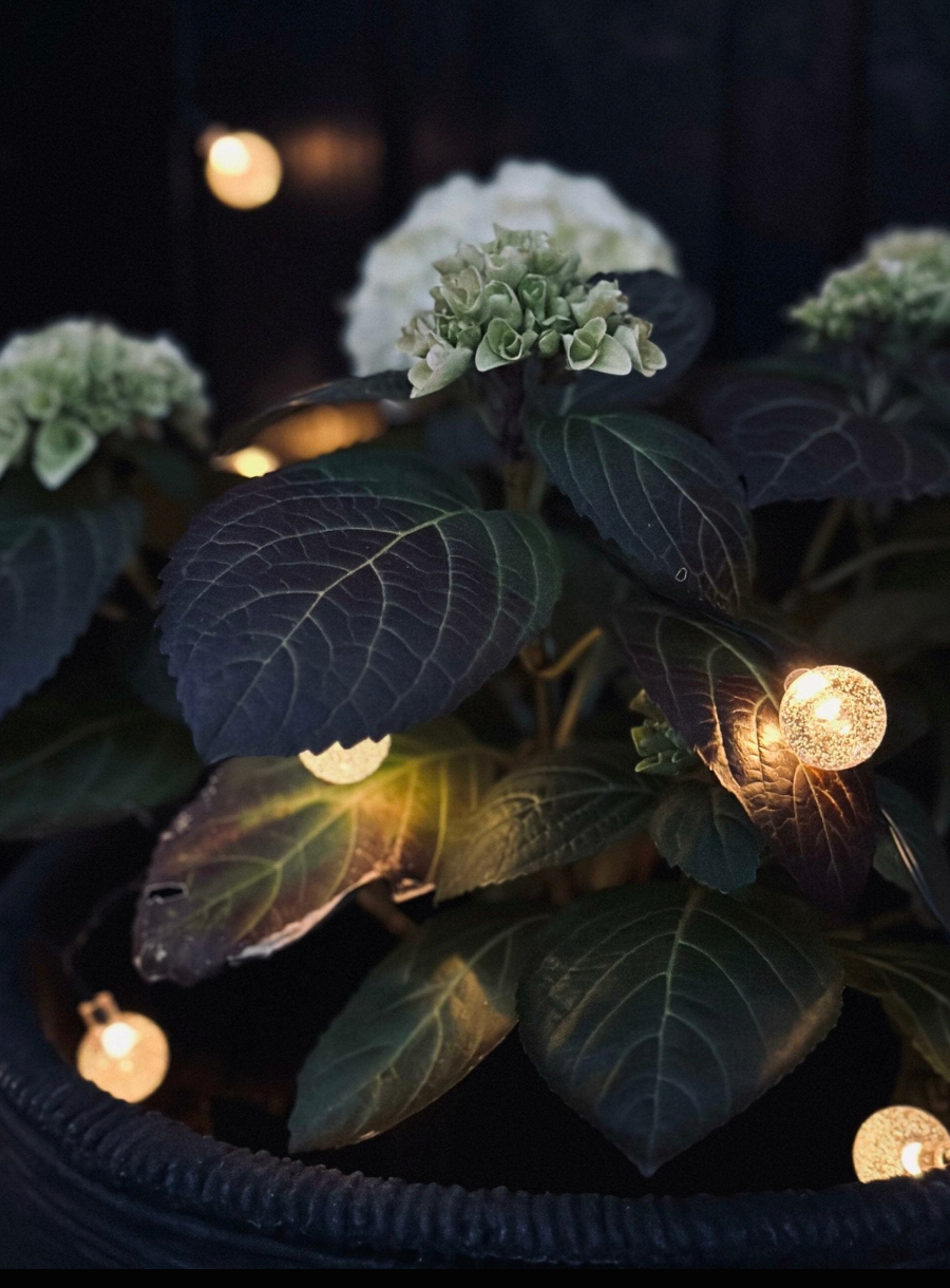 Lyslenke Bella med 20 Pærer – Solcelle