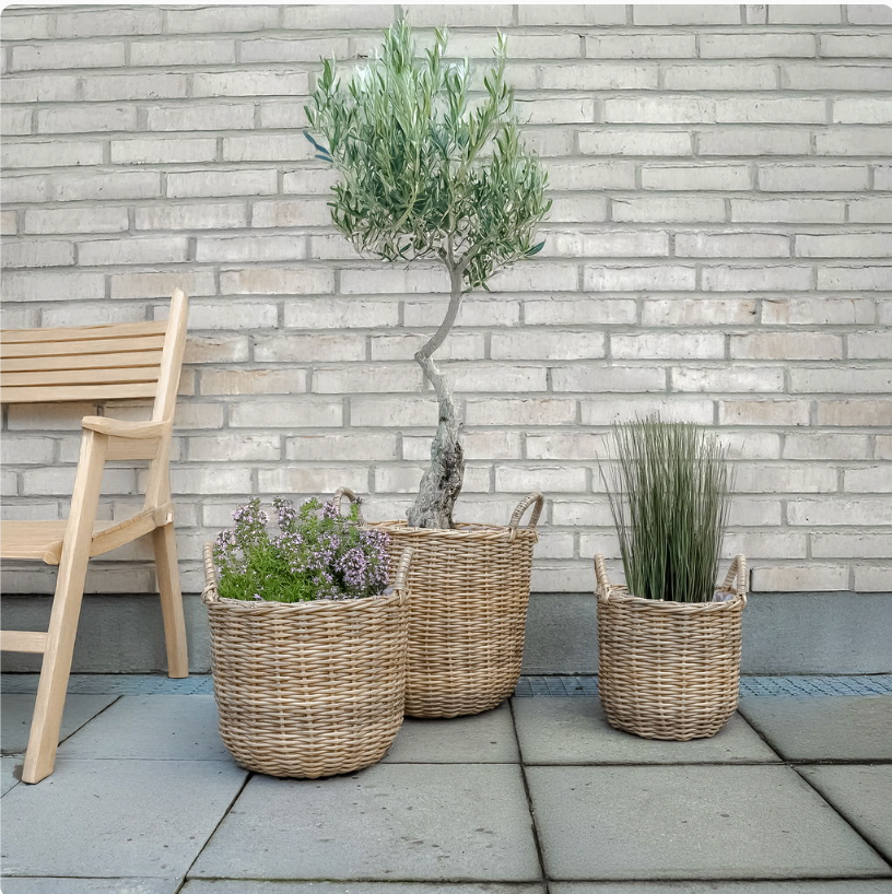 Plantekurver i natur - 3 stk