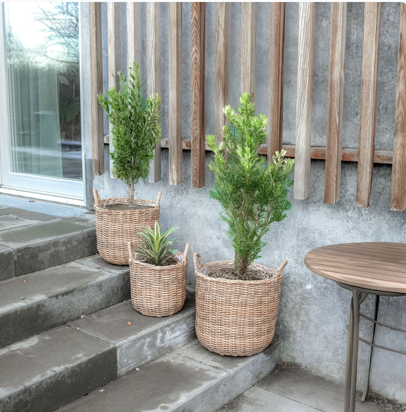 Plantekurver i natur - 3 stk