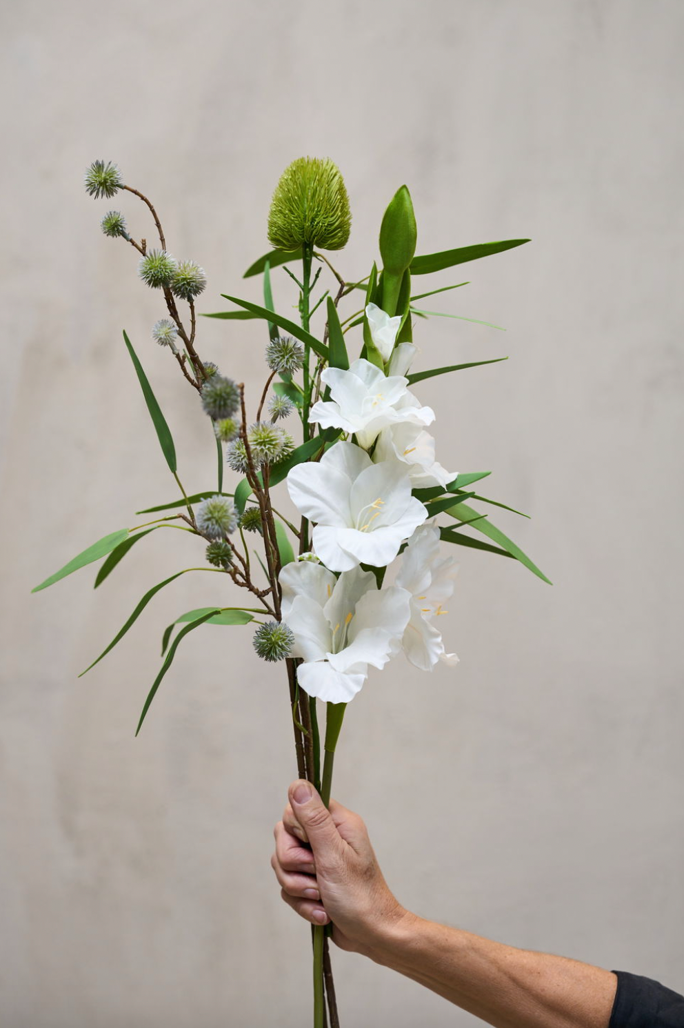 Gladiolus stilk