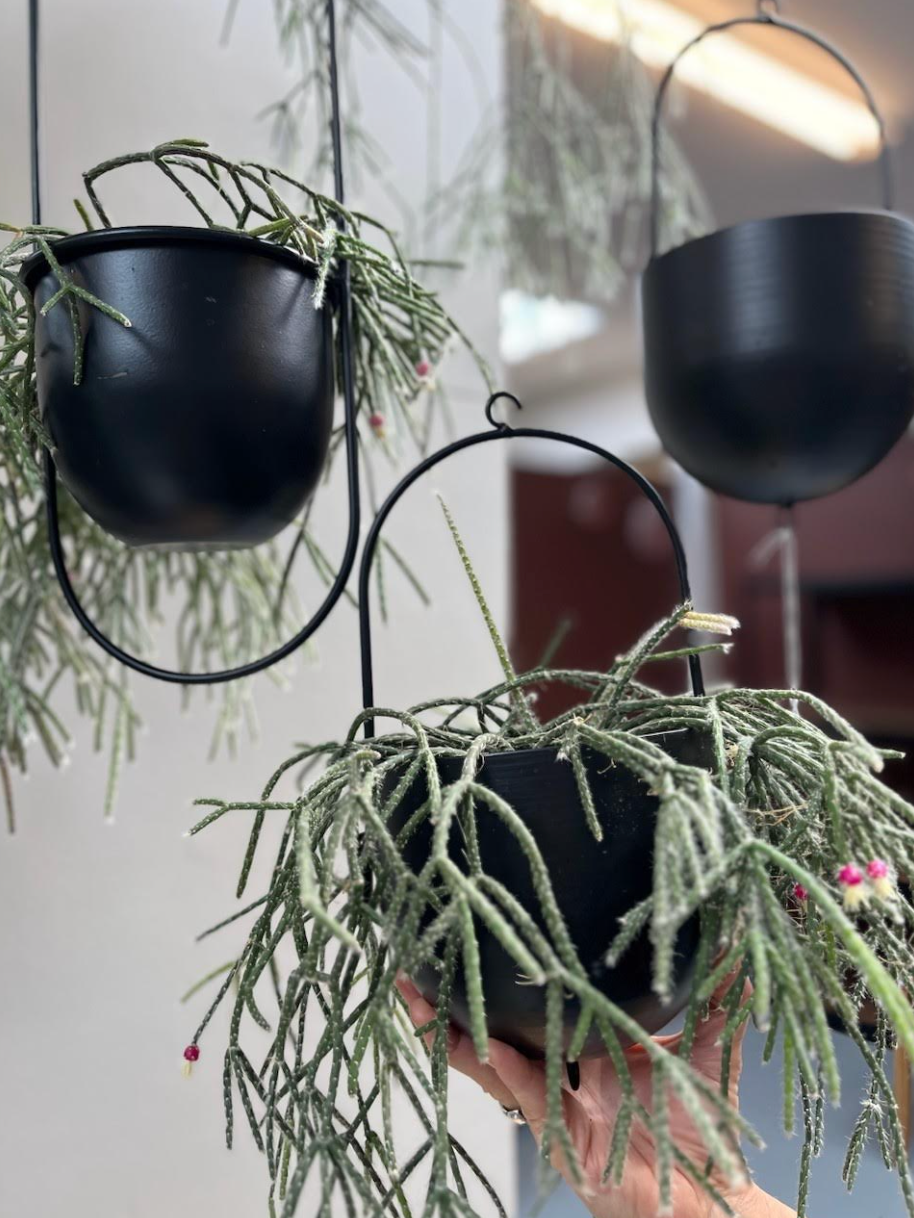 Potte med oppheng - Black