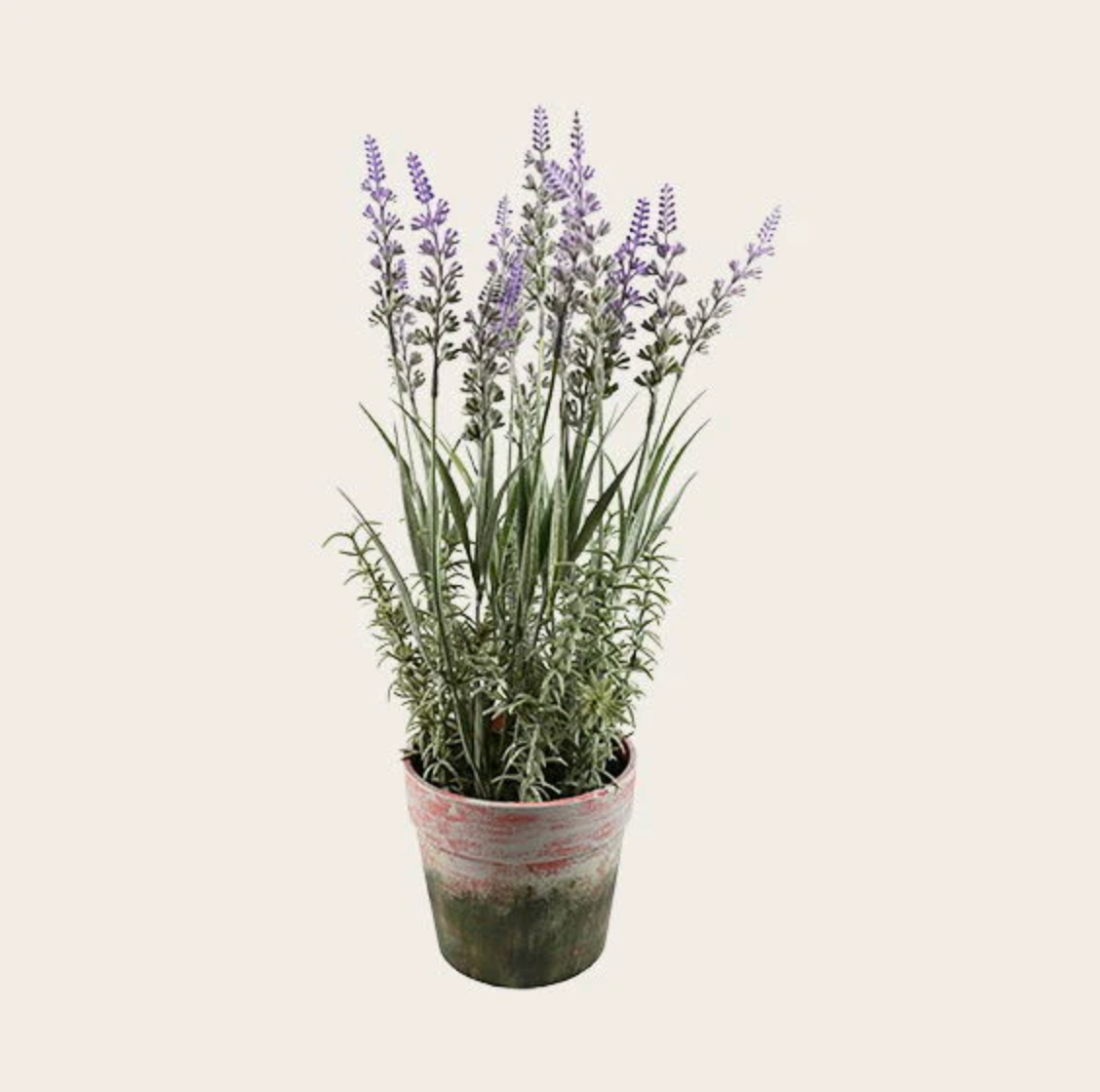 Blomst i potte