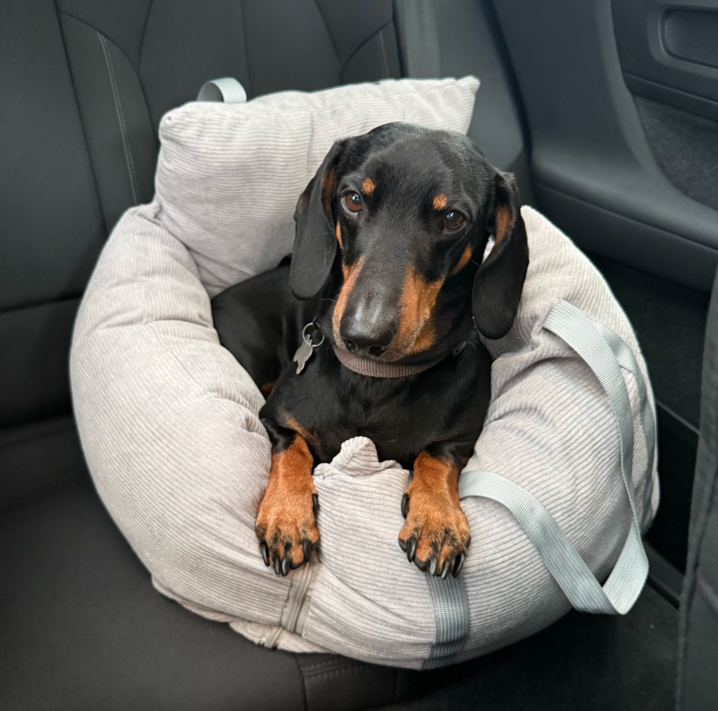 Hundekurv til bilsete