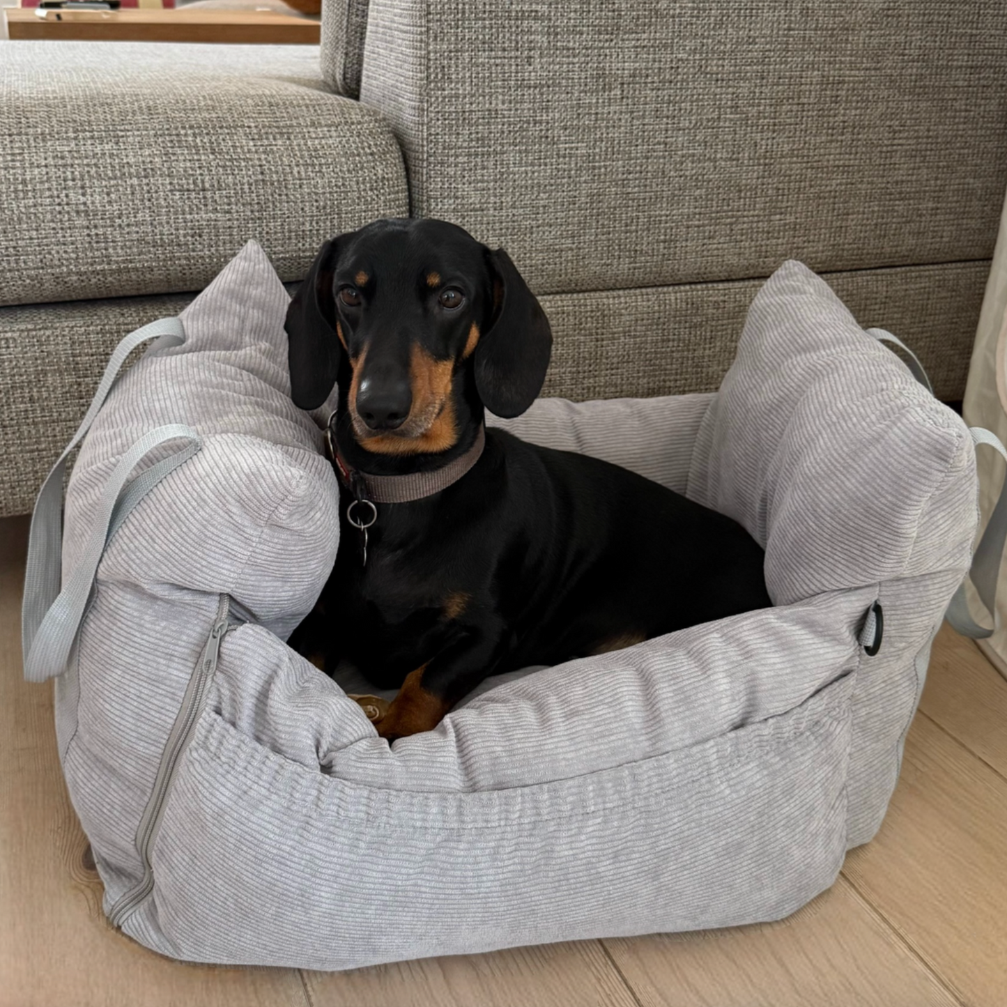 Hundekurv til bilsete