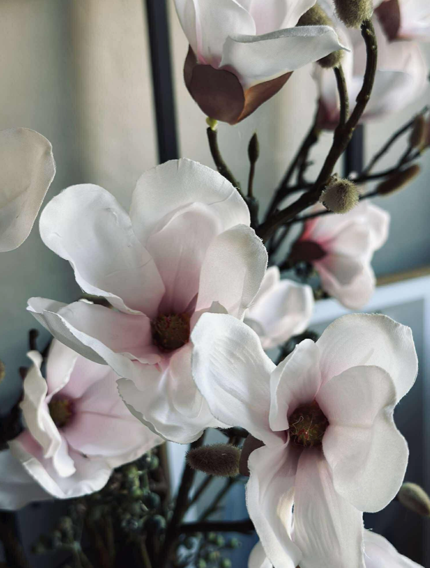 Magnoliagren - Rosa 52 cm