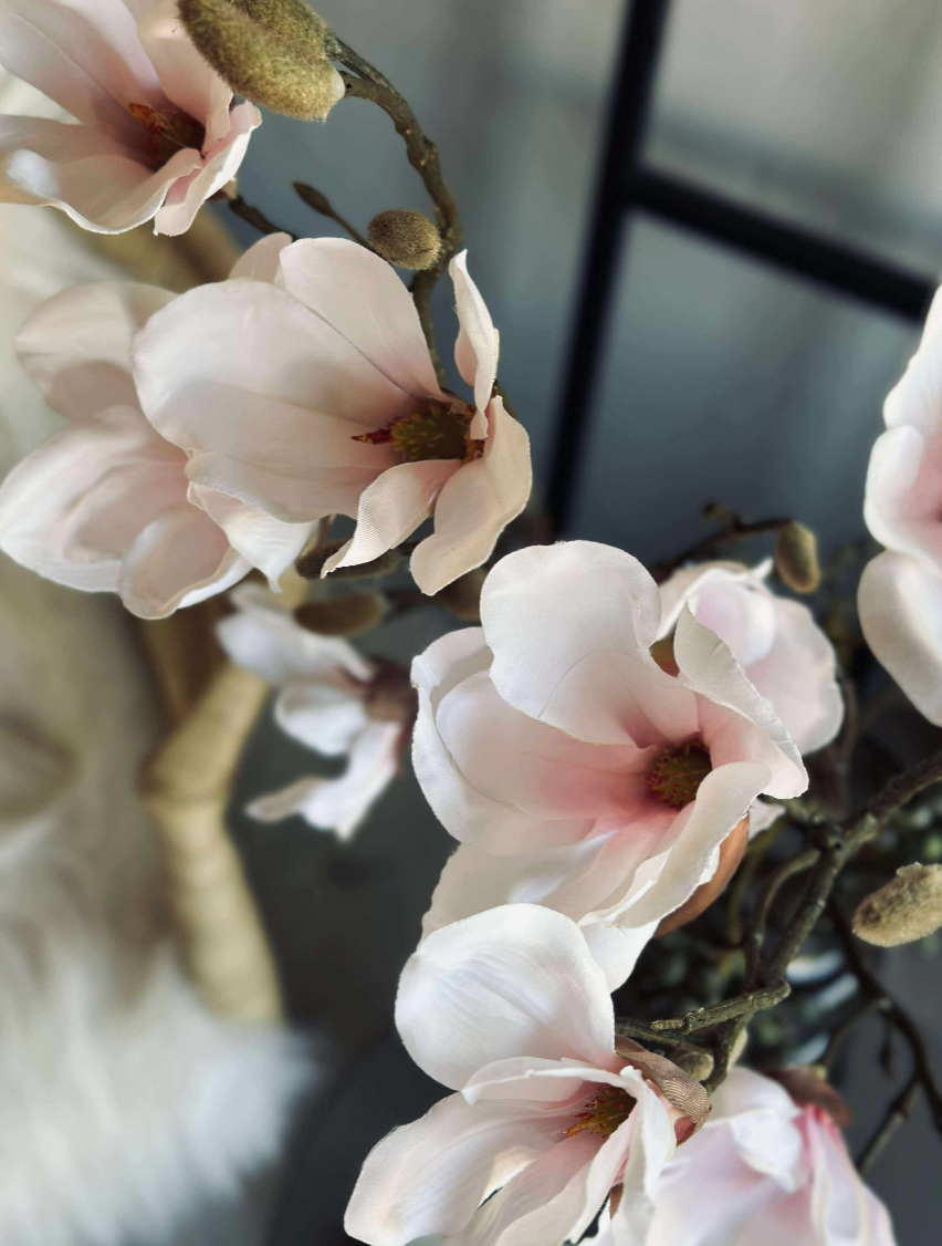 Magnoliagren - Rosa 52 cm