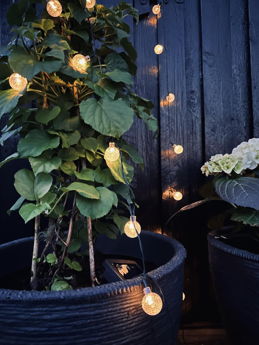 Lyslenke Bella med solceller - 50 LED