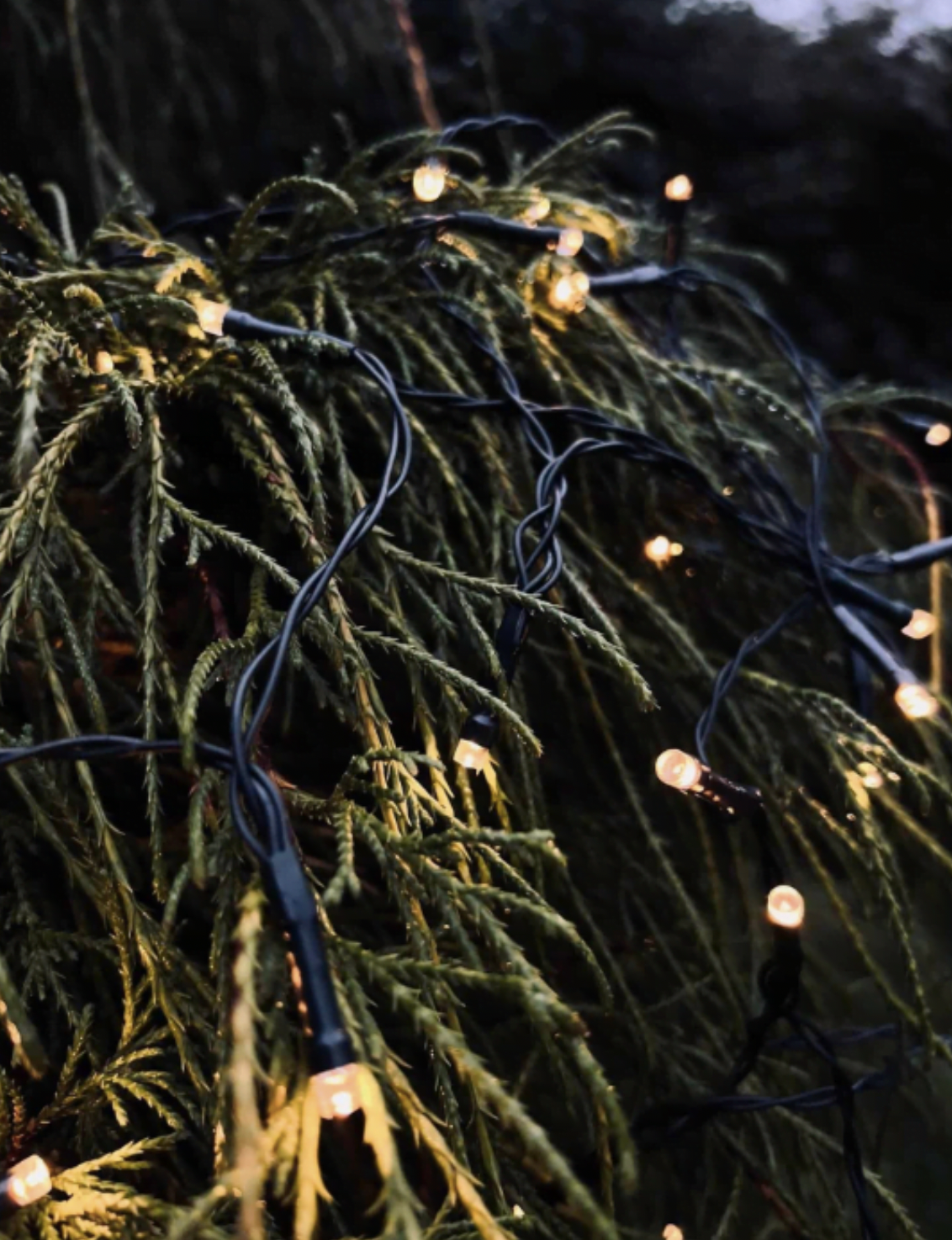 Lyslenke med solceller og USB - 240 LED lys