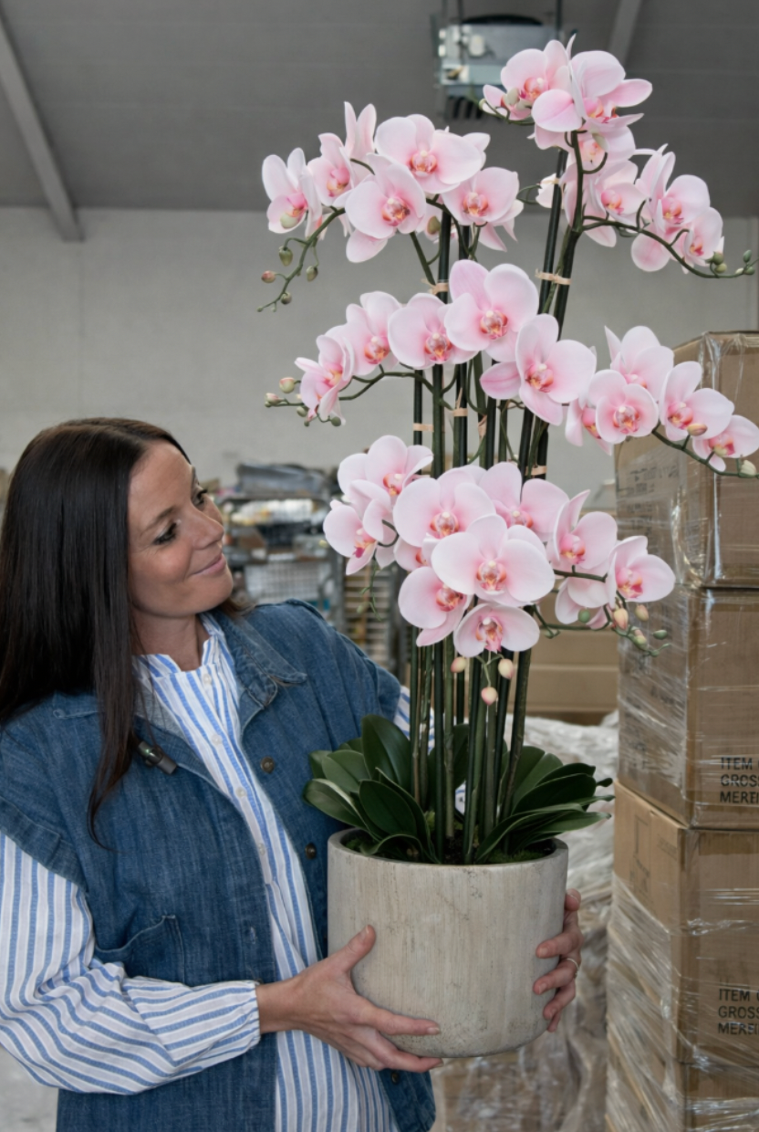Orkidé i Potte 105 cm - Rosa