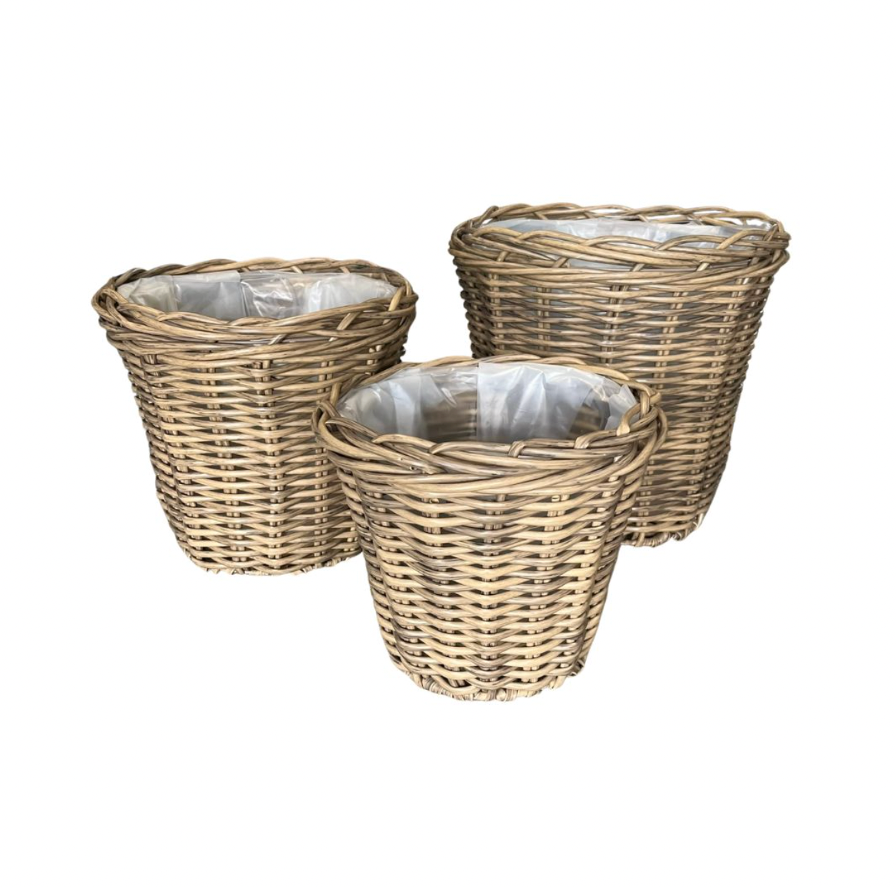 Plantekurver i natur - 3 stk