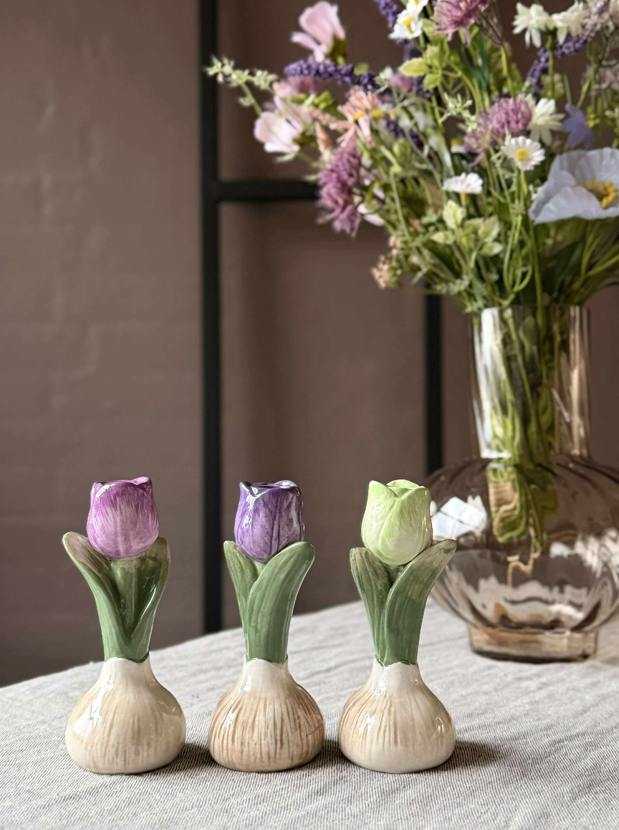 Tulipanløk - 6 farger