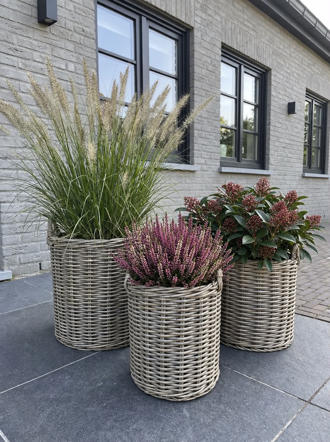 Plantekurver sett med 3 stk Grå