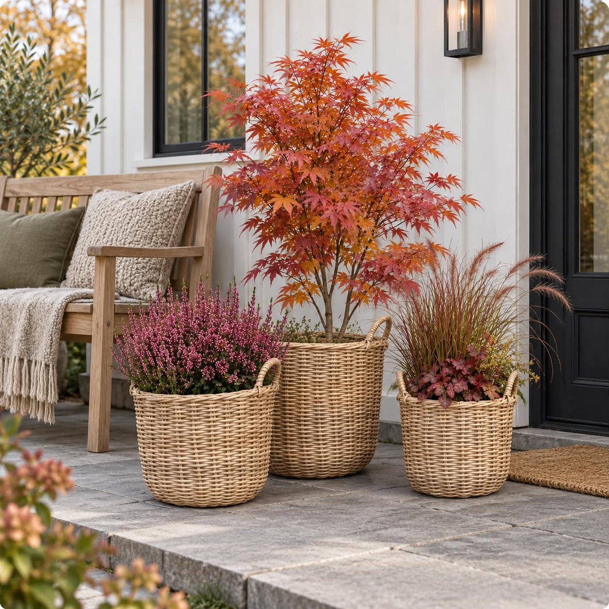 Plantekurver i natur - 3 stk