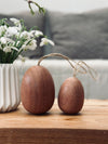 Egg i sabeltre – Liten