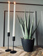 Aloe vera ink potte - 45cm - VIAMAJA.DK