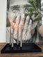 Bakke ink 4 magnetiske lysestager - BLACK - VIAMAJA.DK