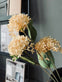 Blomst i duset farver 67cm - Mix farver - VIAMAJA.DK