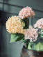 Blomst i duset farver 67cm - Mix farver - VIAMAJA.DK