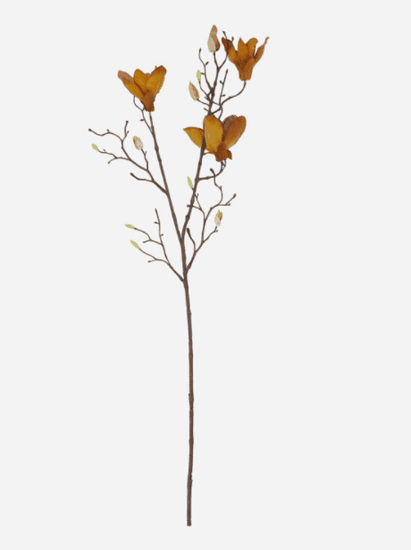 Blomst, Mangnolia, Brun - VIAMAJA.DK