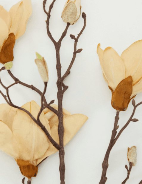 Blomst, Mangnolia, Råhvid - VIAMAJA.DK