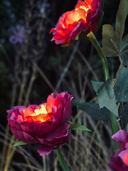 Blomst med solceller – Pink - VIAMAJA.DK