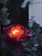 Blomst med solceller – Pink - VIAMAJA.DK