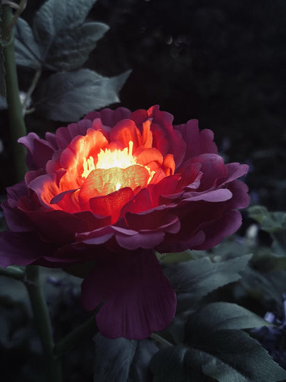 Blomst med solceller – Pink - VIAMAJA.DK
