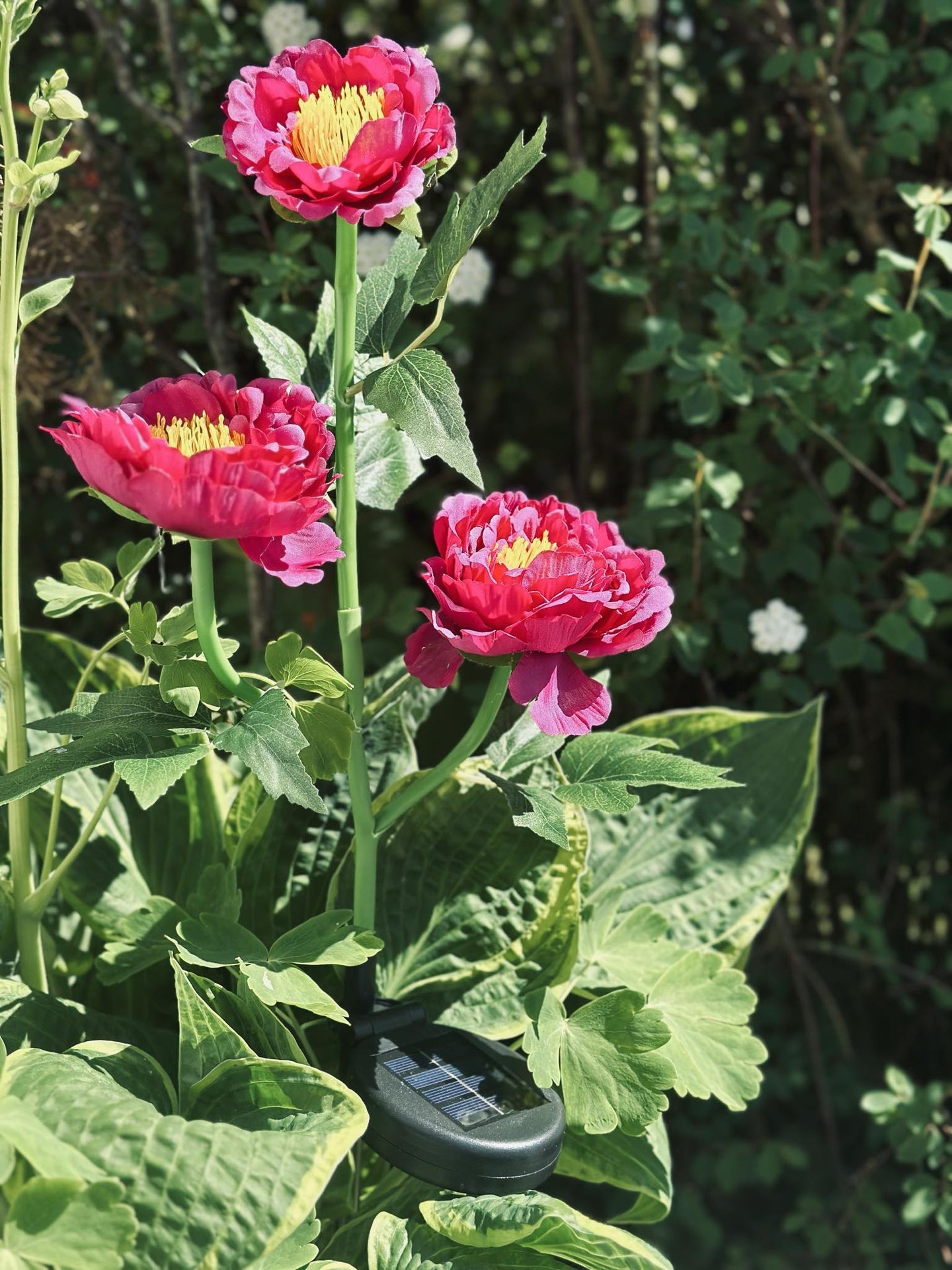 Blomst med solceller – Pink - VIAMAJA.DK