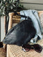 Bumbag Felina black / gold - VIAMAJA.DK
