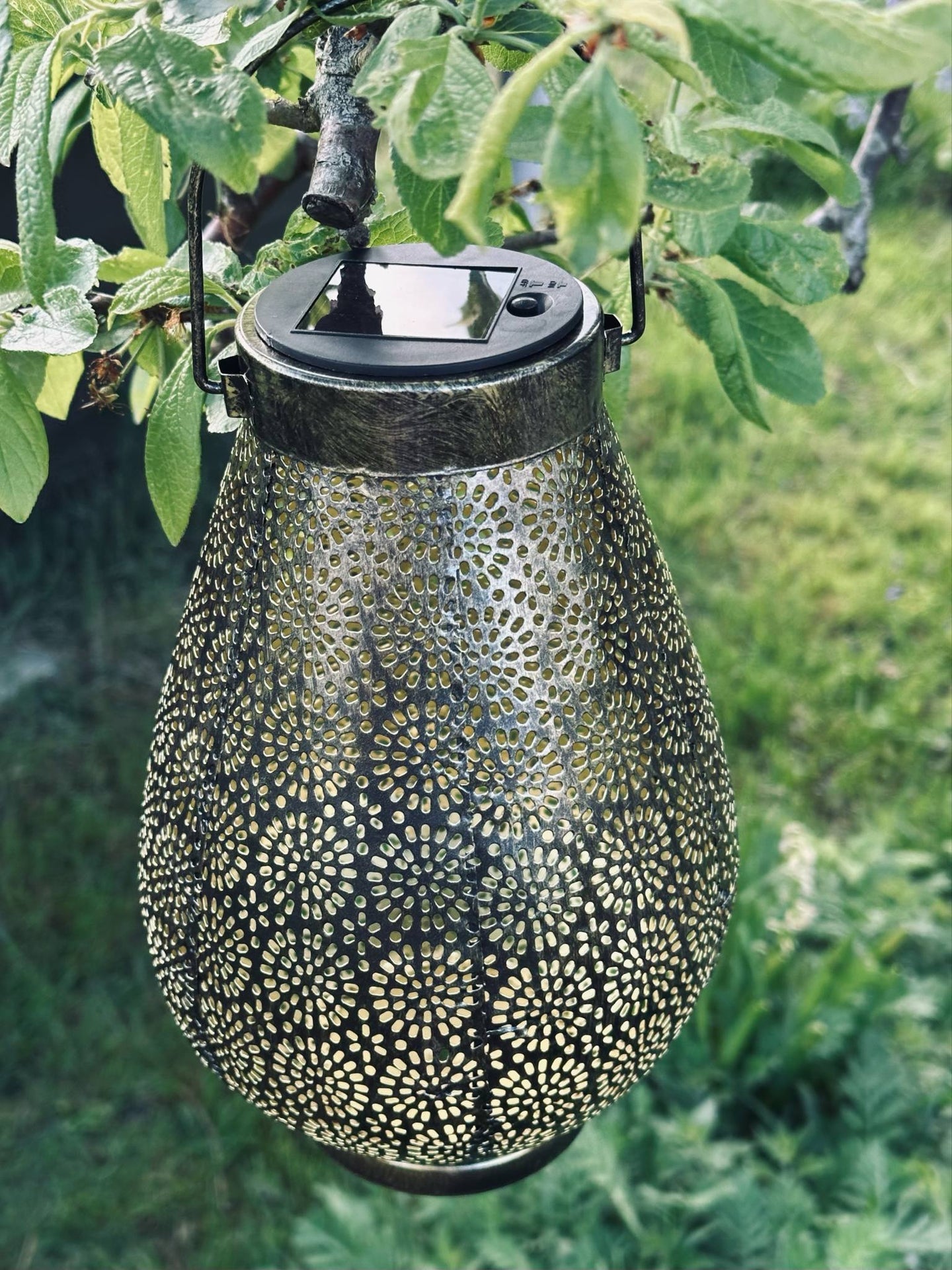 Lykt med solceller - GOLDEN