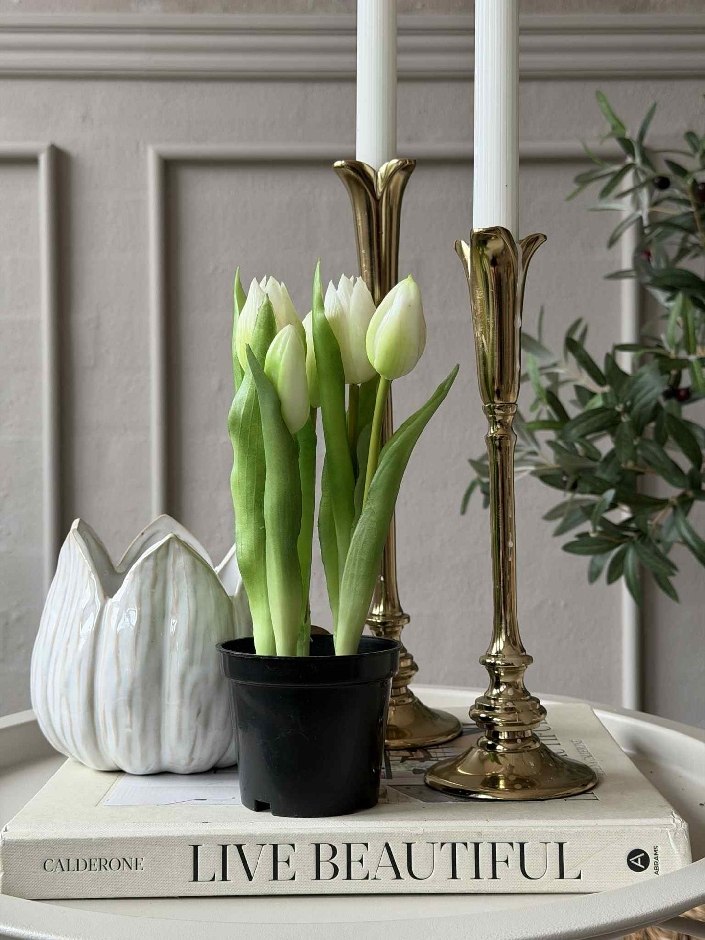 Tulipan i potte - Hvit