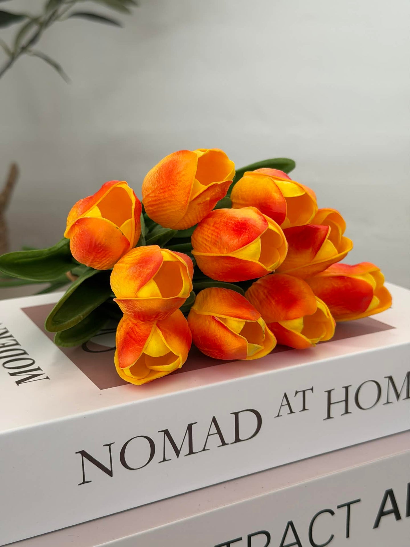 Tulipaner 10 stk. – Flere farger