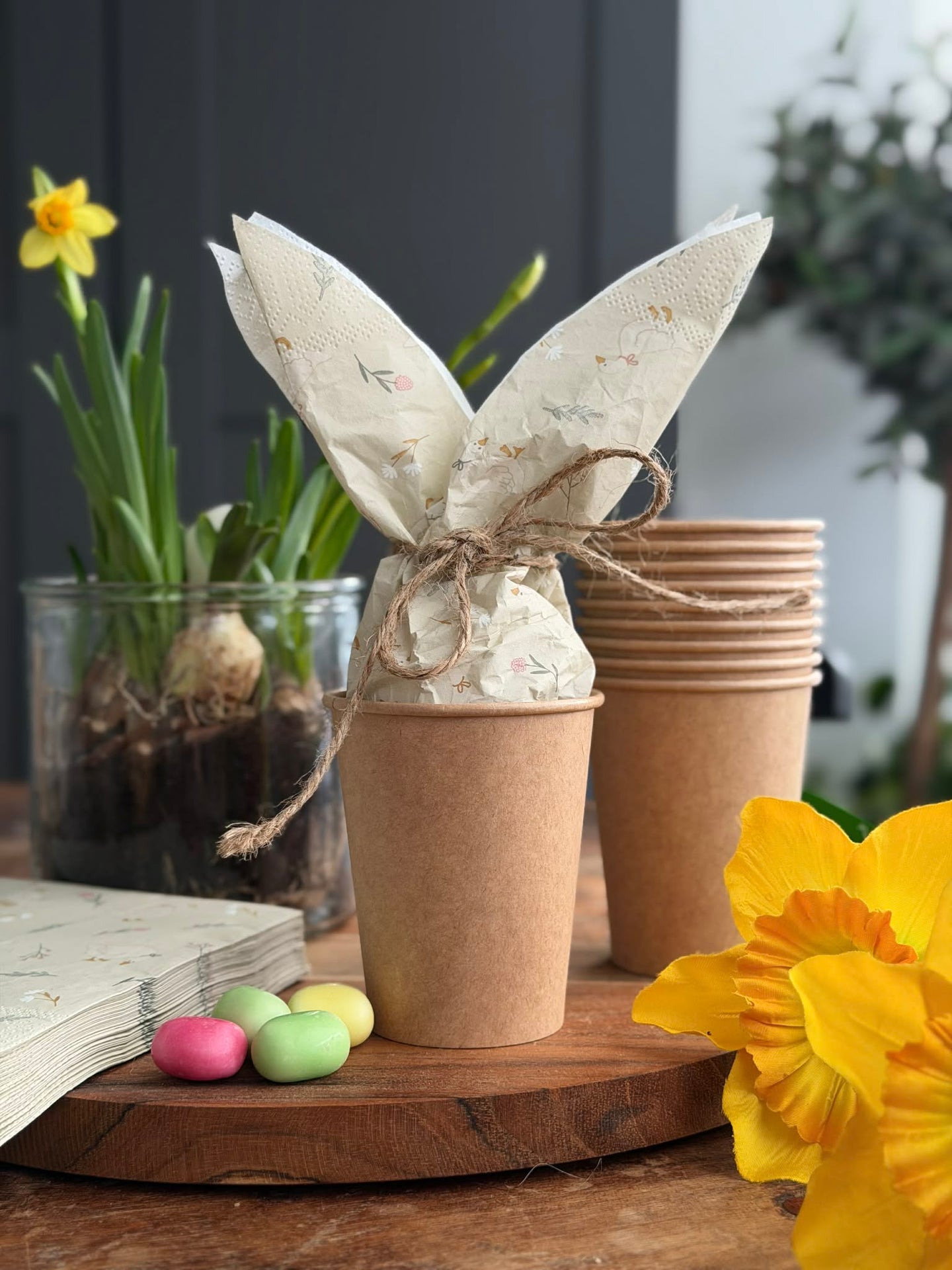 Kopper 10 stk. - Papp 250 ml