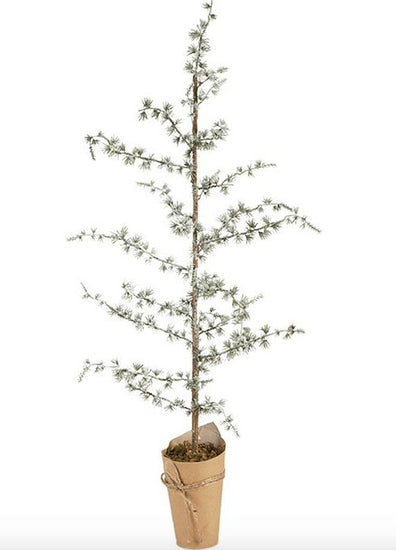 Cedertræ - 95cm - VIAMAJA.DK