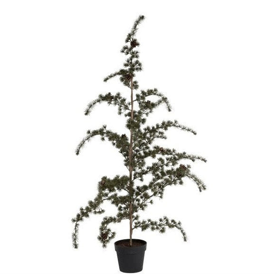 Cedertræ med potte - Grøn 150cm - VIAMAJA.DK