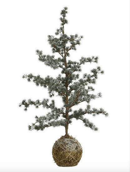 Cedertræ/Moskugle 60cm - VIAMAJA.DK