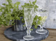 Champagneglas m. diamantudskæring - VIAMAJA.DK